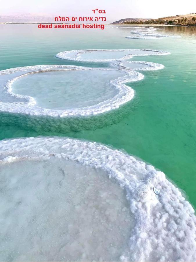 Nadia Hosting Dead Sea Villa Neve Zohar Ngoại thất bức ảnh
