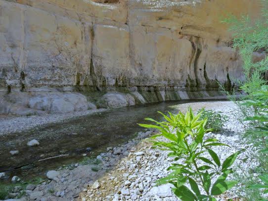 Nadia Hosting Dead Sea Villa Neve Zohar Ngoại thất bức ảnh