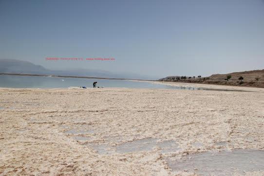 Nadia Hosting Dead Sea Villa Neve Zohar Ngoại thất bức ảnh
